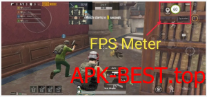 FPS Meter